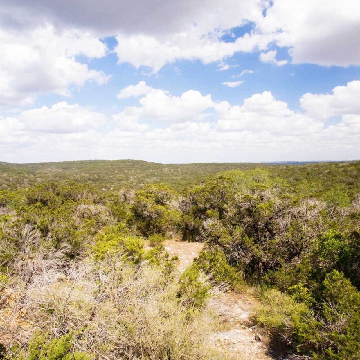 Central-Texas-Mountaintop-SQ