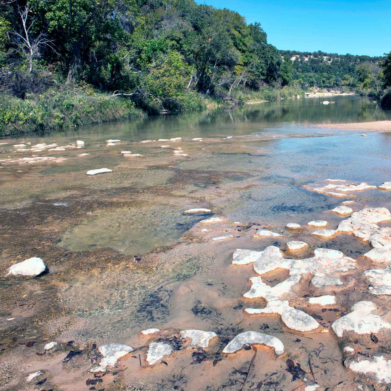 Glen-Rose-Fossil-RimSQ