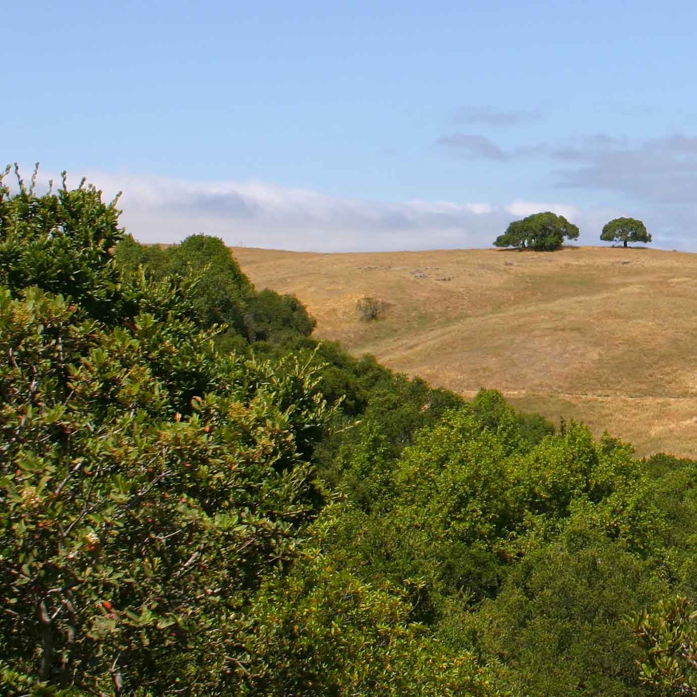 Central Texas 5 Acre Mountain Top